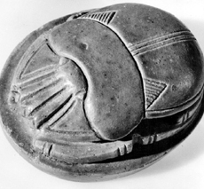 Scarab